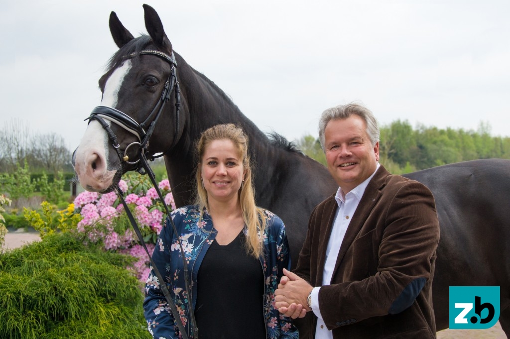 2017-paardenstad-4