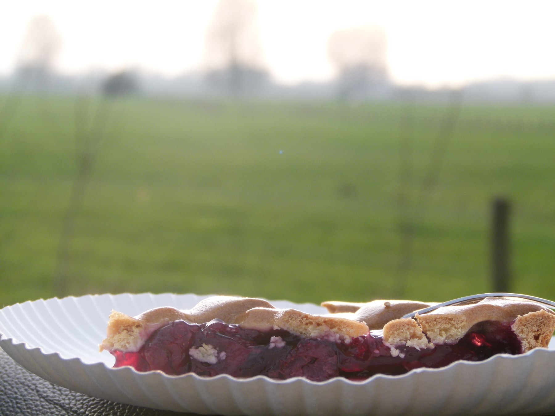 Een punt kersenvlaai met Limburgs landschap op de achtergrond.