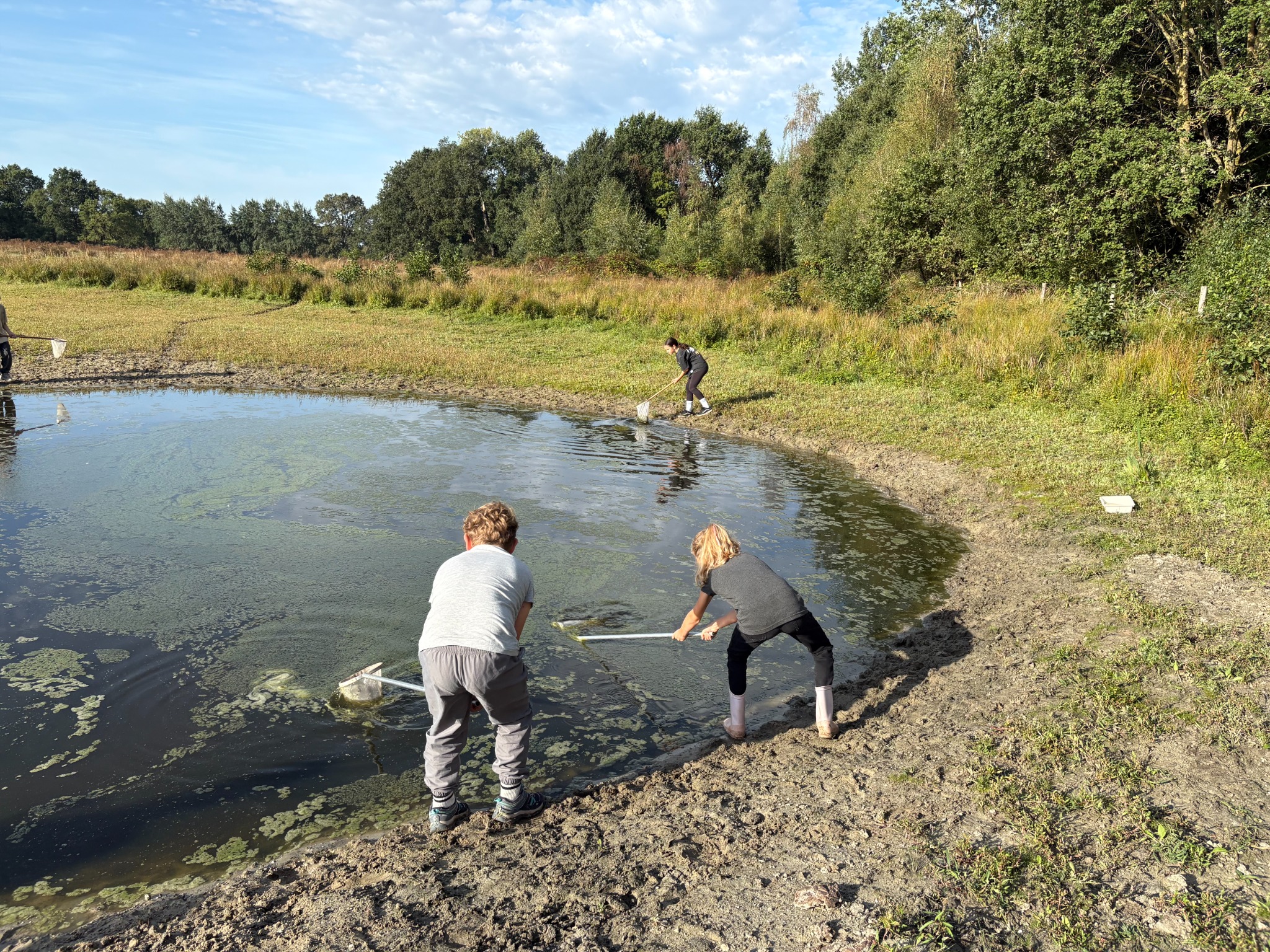 Leerlingen onderzoeken met schepnetten het water tijdens een veldles in het KempenBroek.